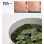 Καταπραϋντική τονωτική λοσιόν 500ml Anua - Image 2